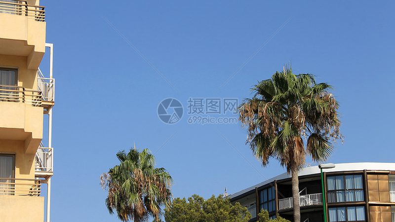 酒店参数筛选：数据清洗的秘诀与技巧
